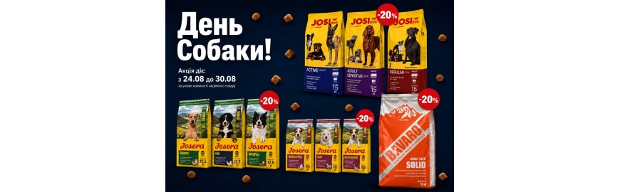 dog day